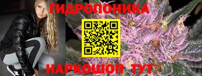 таблы Новозыбков